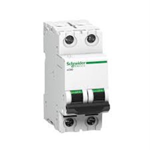 Schneider Electric MINIATURE CIRCUIT BREAKER (2P)-xC60 (A9N2PO6C)-6A,DP, 10kA,MCB CCurve