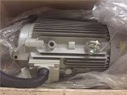 Atlas Copco 1630056120 Motor E176317